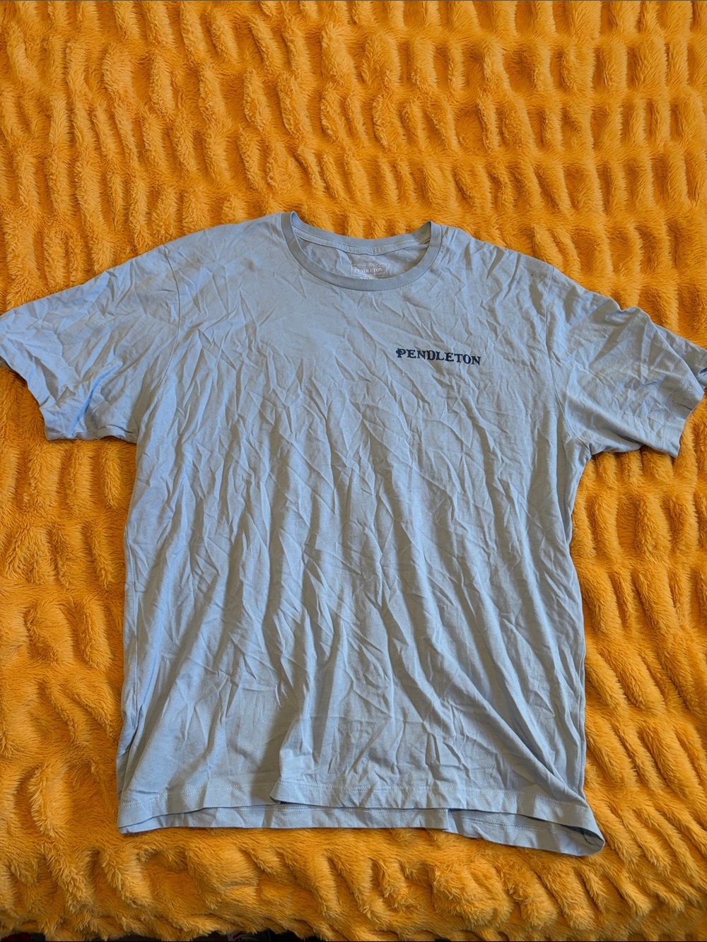 Pendleton T-Shirt - See description about size